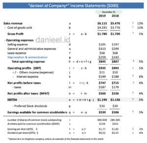 How to Read the Income Statement of the Imaginary Company danieel.id